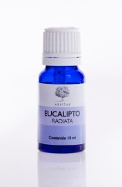 Eucalipto radiado - Eucalyptus radiata ssp radiata