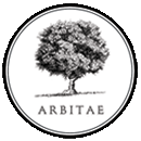 Estragon - Artemisia dracunculus - Arbitae Tienda en Línea